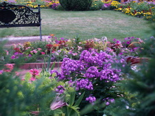 Enlarge photo 241