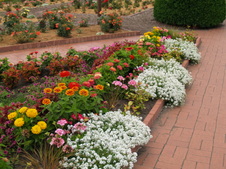 Enlarge photo 244
