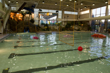 Enlarge photo 118