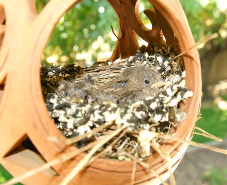 Enlarge photo 26