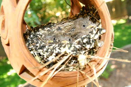 Enlarge photo 24