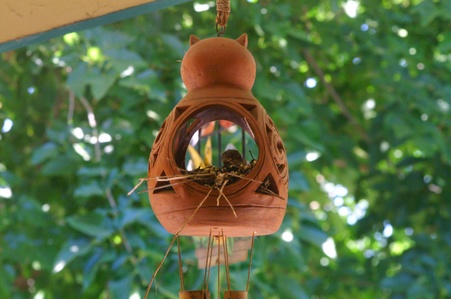 Enlarge photo 25