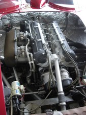Enlarge photo 129