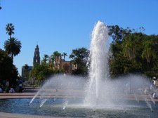 Enlarge photo 53