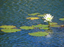 Enlarge photo 46