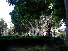 Enlarge photo 82