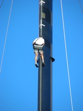 Enlarge photo 41