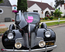 Enlarge photo 49