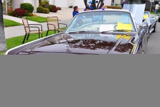 Enlarge photo 55