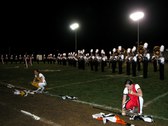 Enlarge photo 47