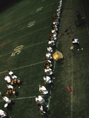 Enlarge photo 107