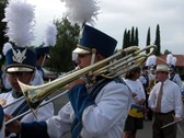 Enlarge photo 61