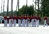 Enlarge photo 103