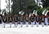 Enlarge photo 116