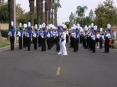 Enlarge photo 204