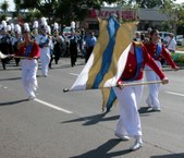 Enlarge photo 62