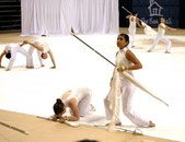 Enlarge photo 239