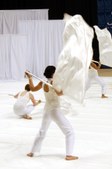 Enlarge photo 301