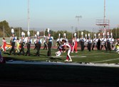 Enlarge photo 127