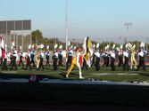 Enlarge photo 131