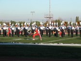 Enlarge photo 133