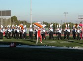 Enlarge photo 137