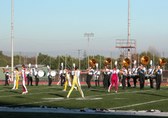 Enlarge photo 146