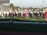 Enlarge photo 165