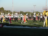Enlarge photo 168