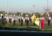 Enlarge photo 169