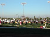 Enlarge photo 173