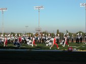 Enlarge photo 179