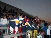 Enlarge photo 282
