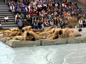 Enlarge photo 55