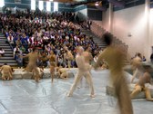 Enlarge photo 56