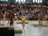 Enlarge photo 59
