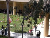 Enlarge photo 109