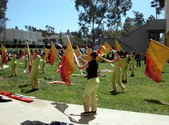 Enlarge photo 133