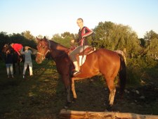 our horses