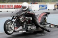 Enlarge photo 108