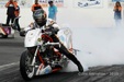 Enlarge photo 110