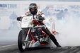 Enlarge photo 155