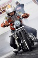 Enlarge photo 172