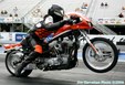 Enlarge photo 41
