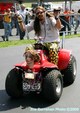 Enlarge photo 100