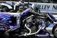 Enlarge photo 44