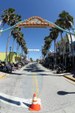 Enlarge photo 51
