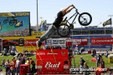Enlarge photo 57