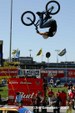 Enlarge photo 60
