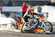 Enlarge photo 54
